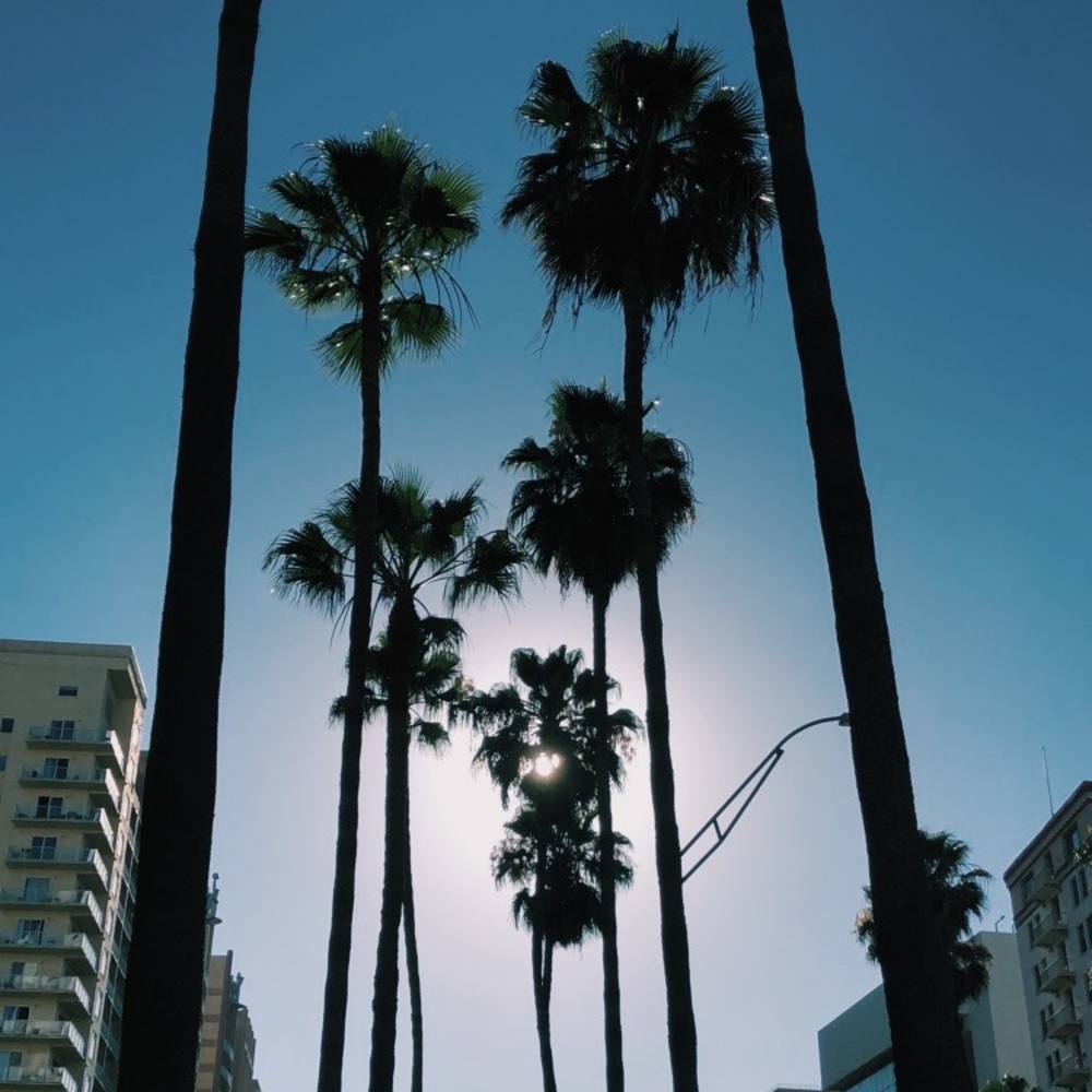 Meet your Posher, Jordan